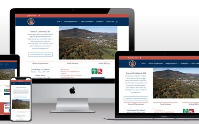 Professional Municipal website design